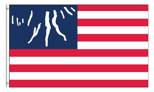 The Official Flag of the Finger Lakes